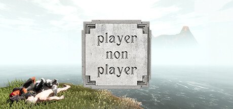 Player Non Player