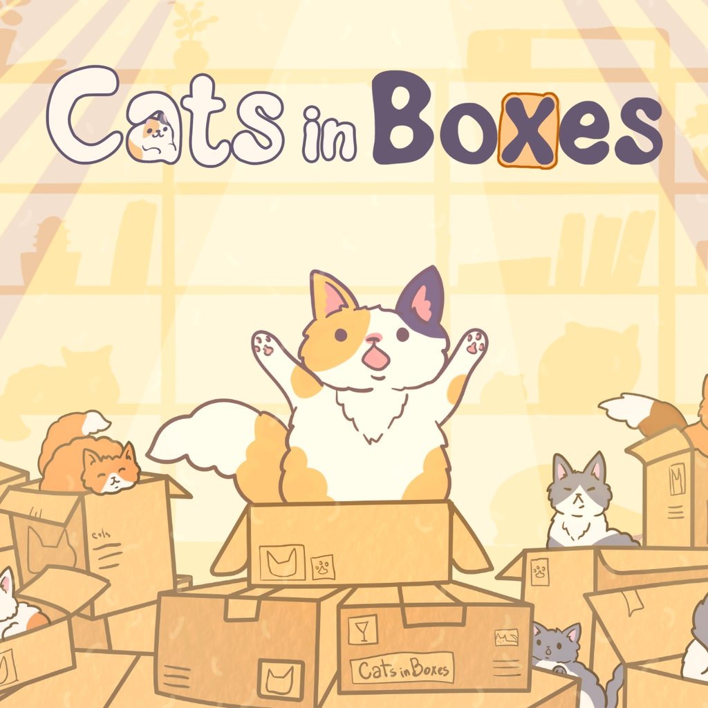 Cats in Boxes